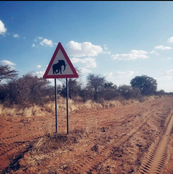 road sign beside a dirt road with the symbol for elephant crossing