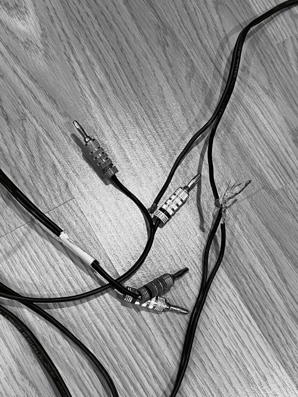 Black and White image of rca stereo jacks and wires